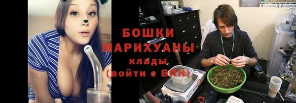 гидра Алексеевка