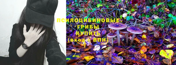 2c-b Абаза