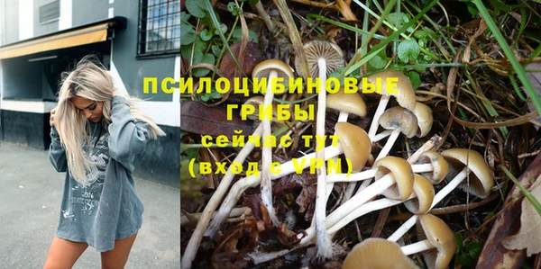ПСИЛОЦИБИНОВЫЕ ГРИБЫ Абинск